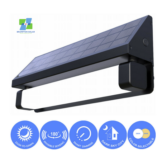 Solar Power Dusk Dawn Motion Aluminum Case Dual Colour Security Flood LED Light