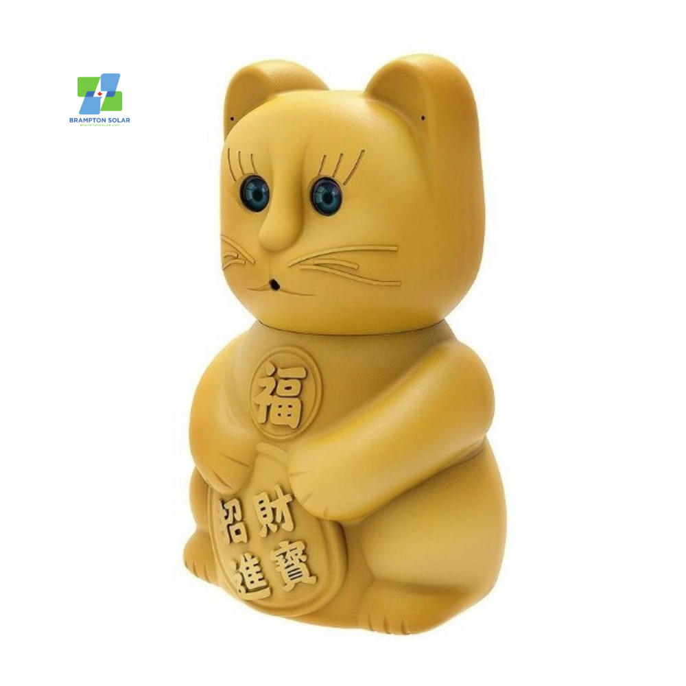Lucky Cat Wifi HD Camera.