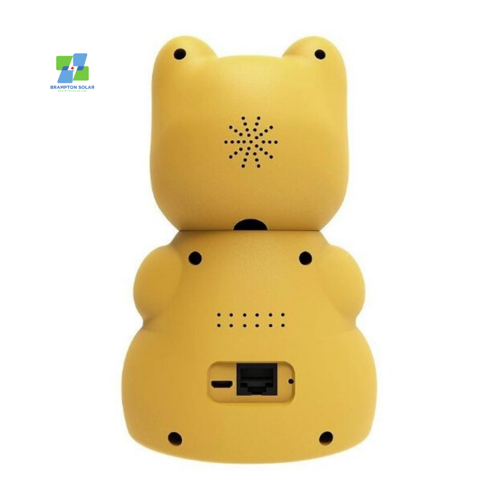 Lucky Cat Wifi HD Camera.