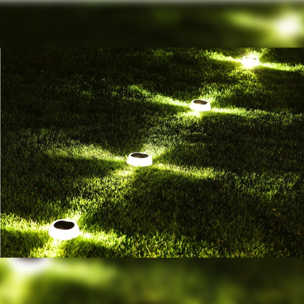 Colorful LED Solar Pathway Deck Lawn Decor Lights (Pack of 4)